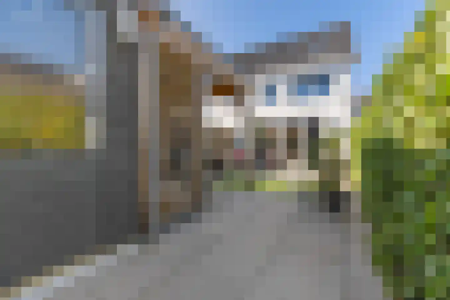 Greppelstraat 1 Hoef en Haag thumbnail 5