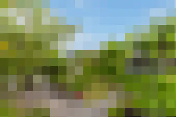 Gretha Hofstralaan 112 Vlaardingen thumbnail 21