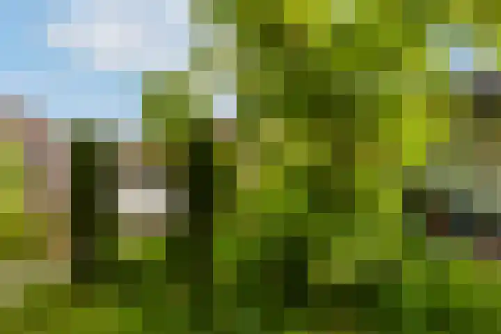 Gretha Hofstralaan 112 Vlaardingen thumbnail 23