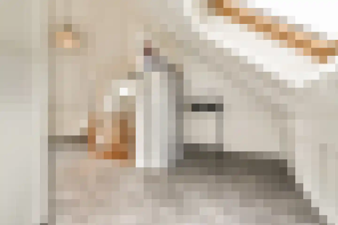 Gretha Hofstralaan 117 Vlaardingen thumbnail 27