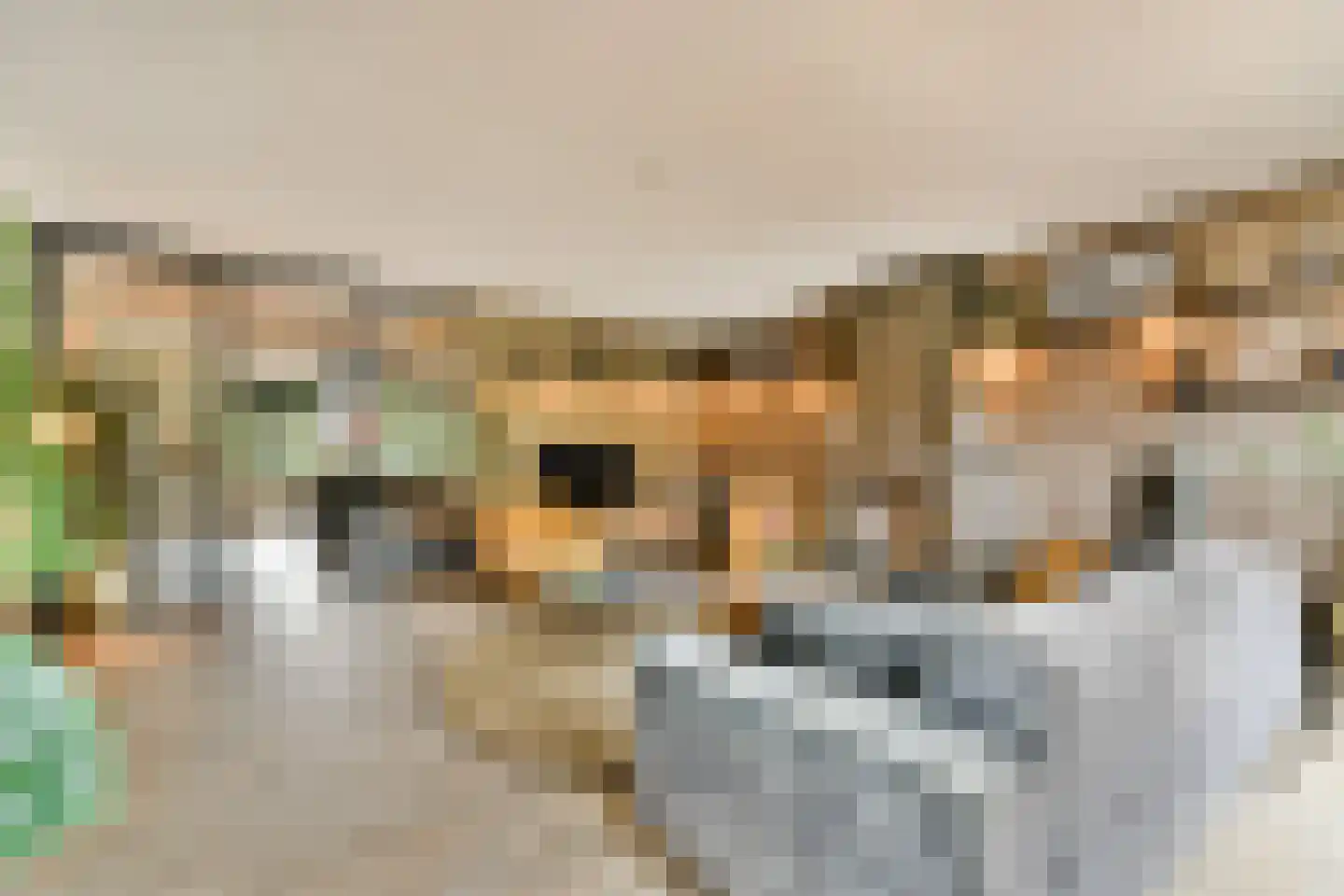 Gretha Hofstralaan 117 Vlaardingen thumbnail 8