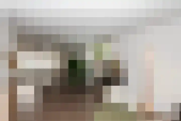 Gretha Hofstralaan 119 Vlaardingen thumbnail 11