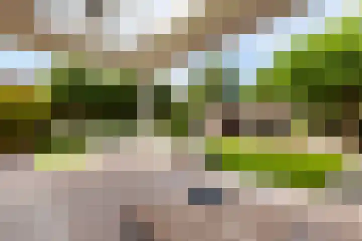 Gretha Hofstralaan 119 Vlaardingen thumbnail 20