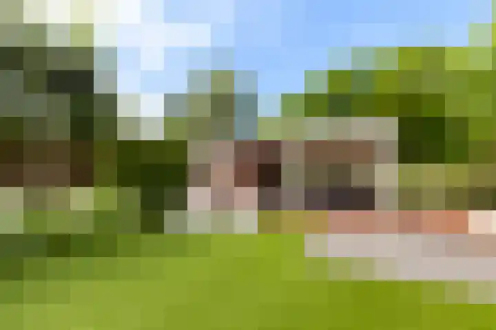 Gretha Hofstralaan 119 Vlaardingen thumbnail 22