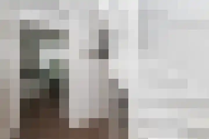 Gretha Hofstralaan 119 Vlaardingen thumbnail 4