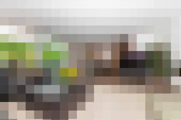 Gretha Hofstralaan 119 Vlaardingen thumbnail 7