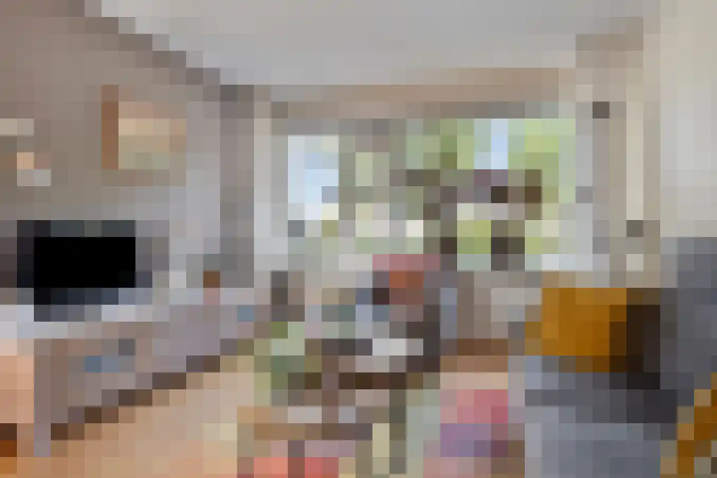 Grettingalaan 106 Harlingen thumbnail 4