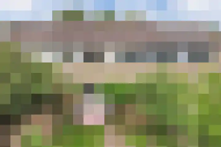 Grettingalaan 74 Harlingen thumbnail 31