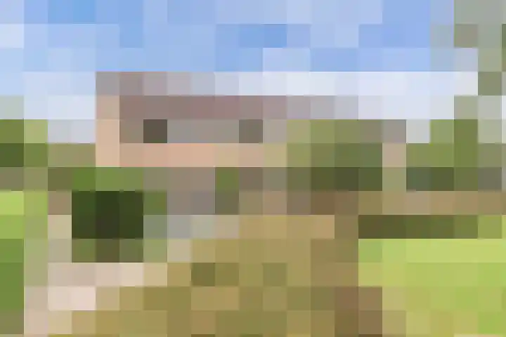 Grettingalaan 74 Harlingen thumbnail 4