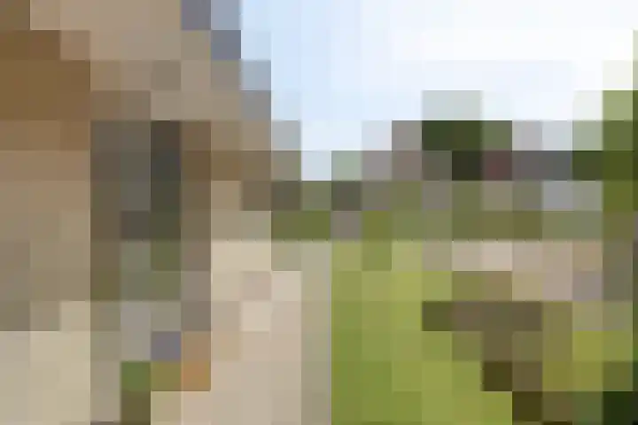 Greuns 16 Drachten thumbnail 10