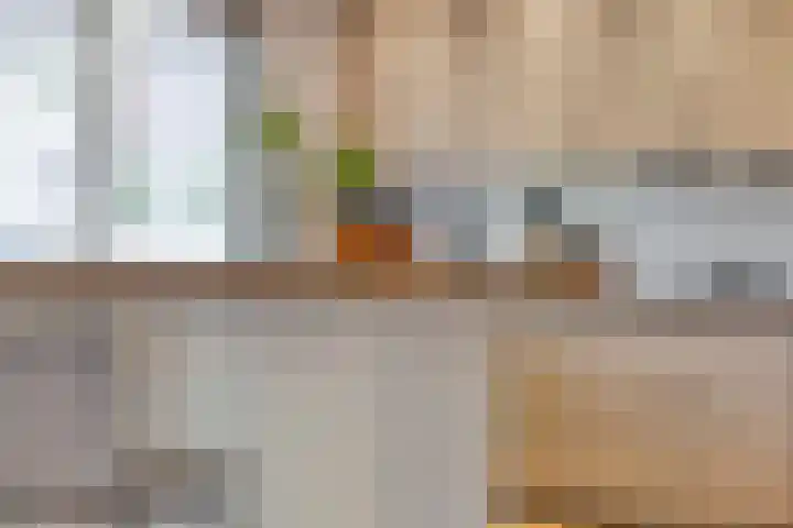 Greuns 16 Drachten thumbnail 13