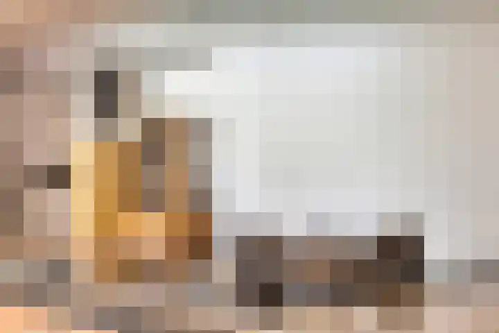 Greuns 16 Drachten thumbnail 15