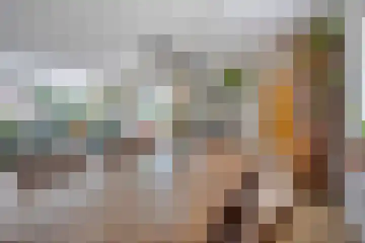 Greuns 16 Drachten thumbnail 18