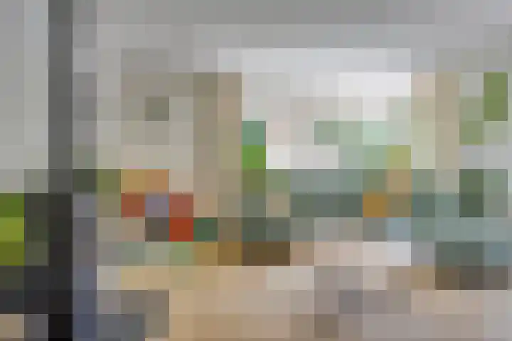 Greuns 16 Drachten thumbnail 20