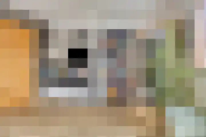 Greuns 16 Drachten thumbnail 28