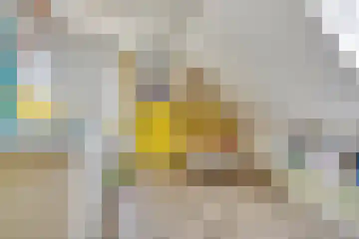 Greuns 16 Drachten thumbnail 47