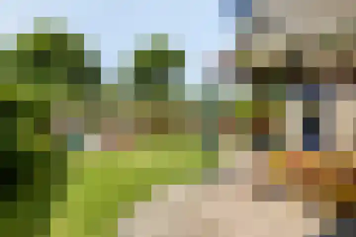 Greuns 16 Drachten thumbnail 53