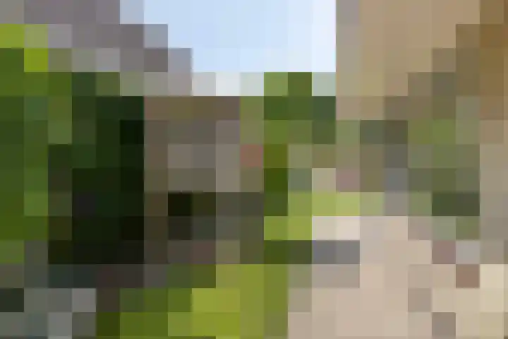 Greuns 16 Drachten thumbnail 54