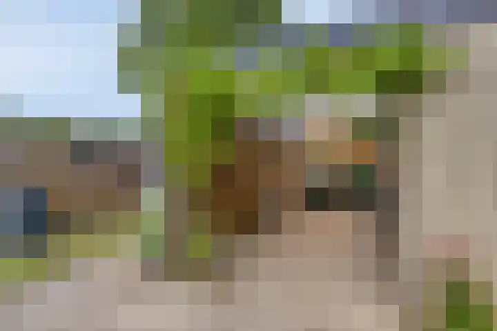 Greuns 16 Drachten thumbnail 55