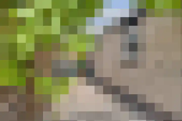 Greuns 16 Drachten thumbnail 56