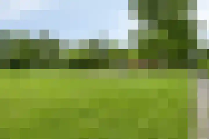 Greuns 16 Drachten thumbnail 57