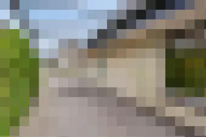 Greuns 16 Drachten thumbnail 8