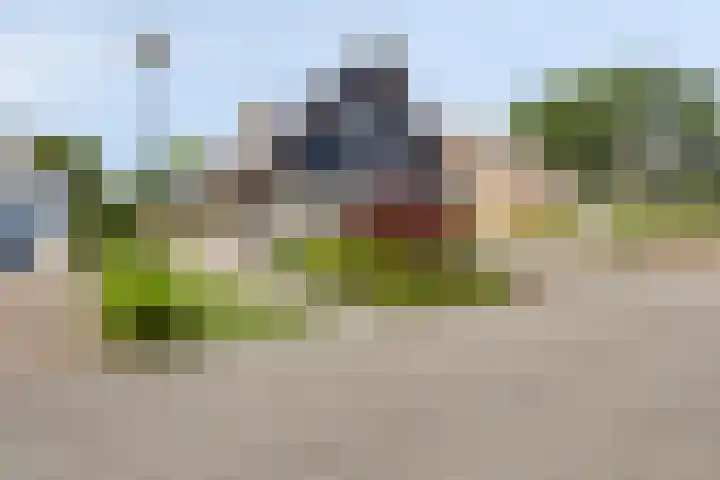 Greuns 16 Drachten thumbnail 9