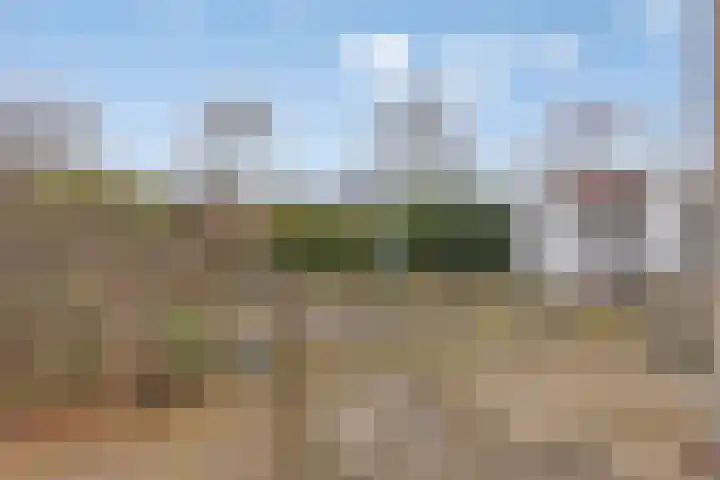 Greuns 18 Drachten thumbnail 53