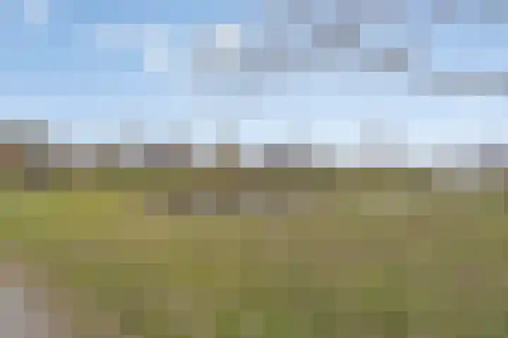 Greuns 18 Drachten thumbnail 55