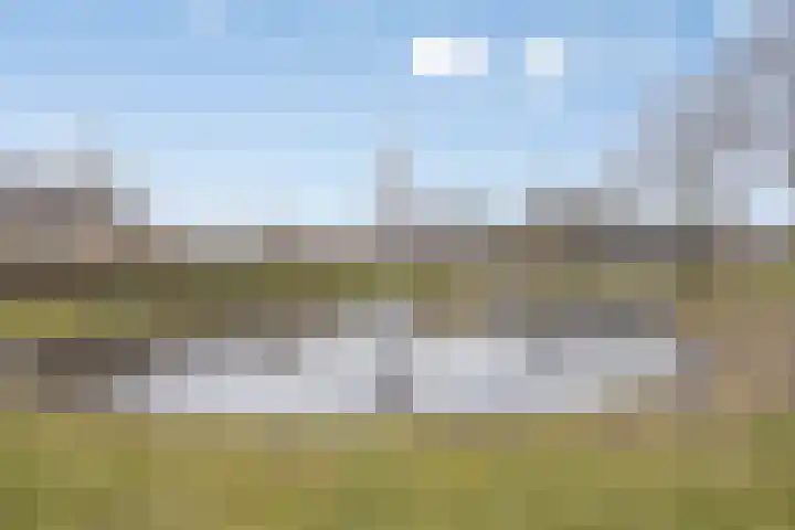 Greuns 18 Drachten thumbnail 56