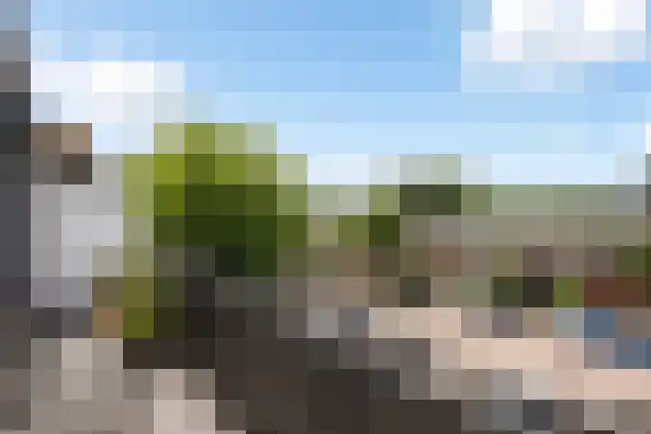 Greuns 24 Zwolle thumbnail 12