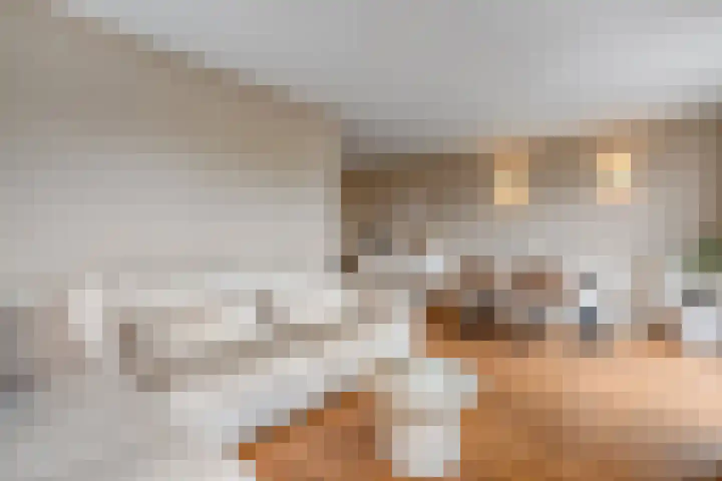 Greuns 24 Zwolle thumbnail 12
