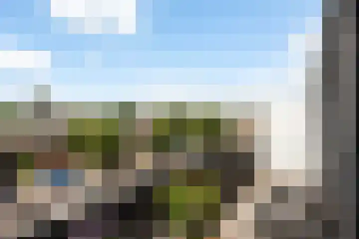 Greuns 24 Zwolle thumbnail 13