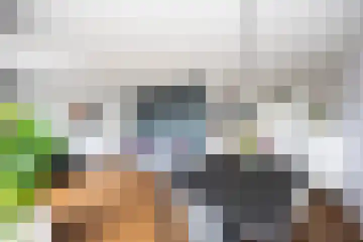 Greuns 24 Zwolle thumbnail 17