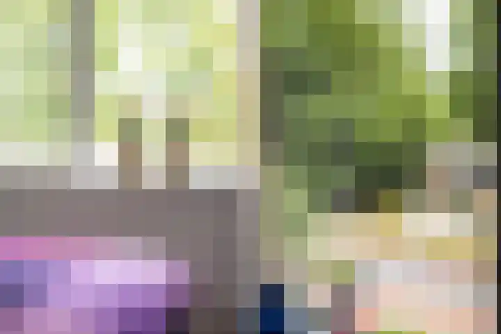 Greuns 24 Zwolle thumbnail 24