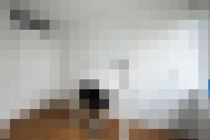 Greuns 24 Zwolle thumbnail 26