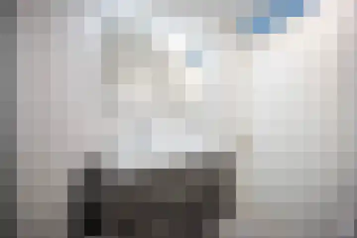 Greuns 24 Zwolle thumbnail 27