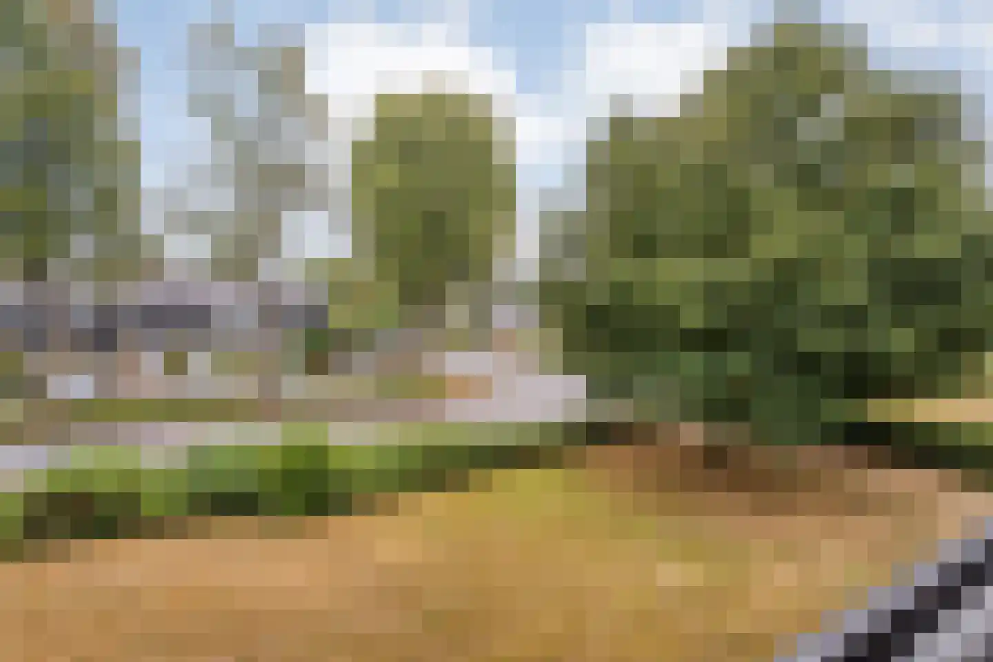 Greuns 24 Zwolle thumbnail 28