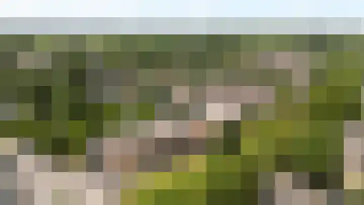 Greuns 24 Zwolle thumbnail 32
