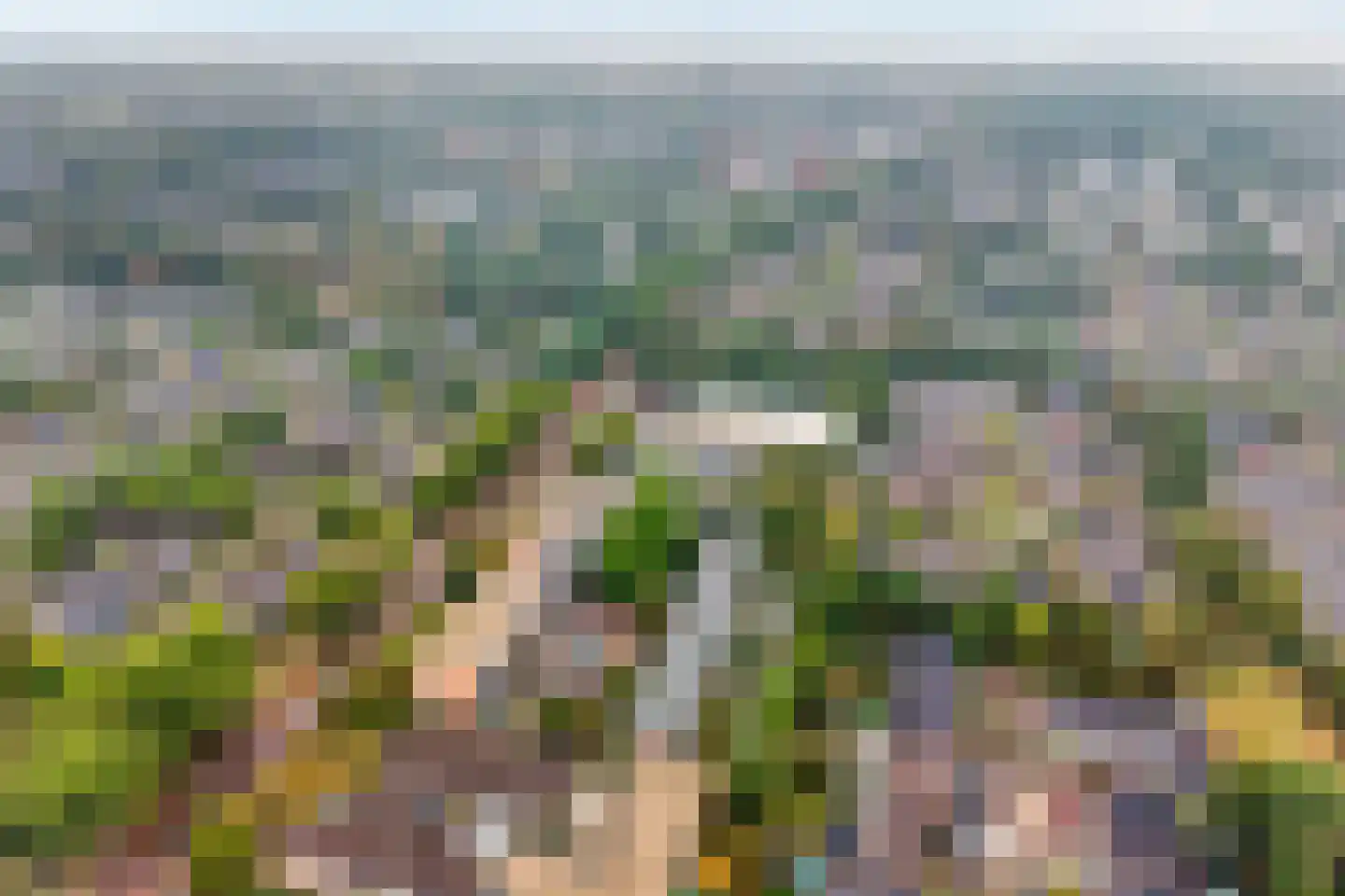 Greuns 24 Zwolle thumbnail 33