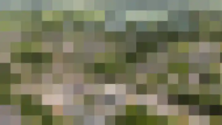 Greuns 24 Zwolle thumbnail 4