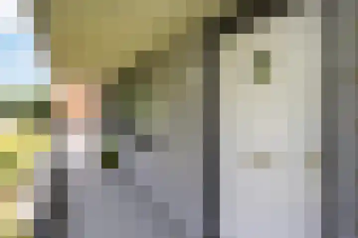 Greuns 24 Zwolle thumbnail 5