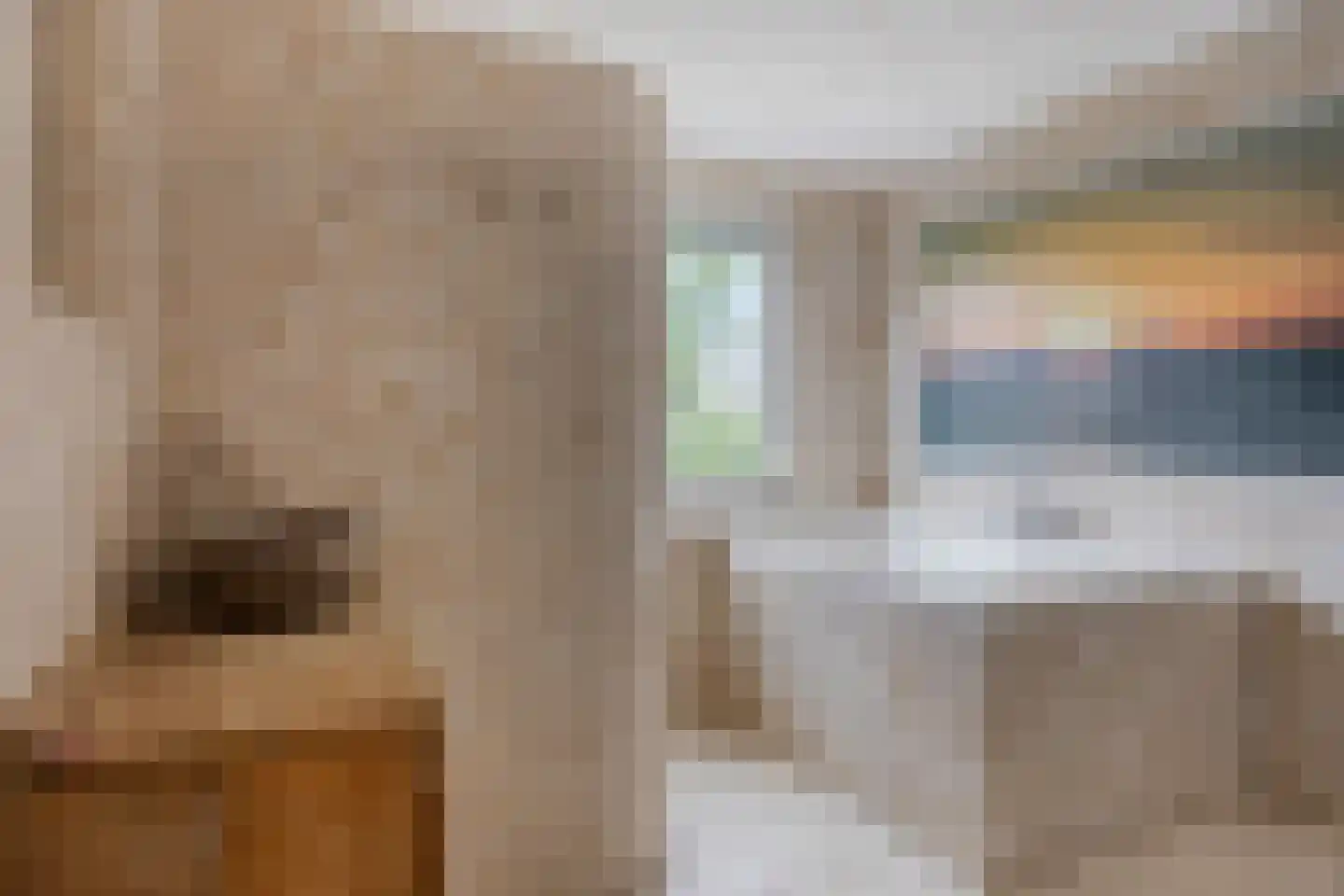 Greuns 27 Zwolle thumbnail 21