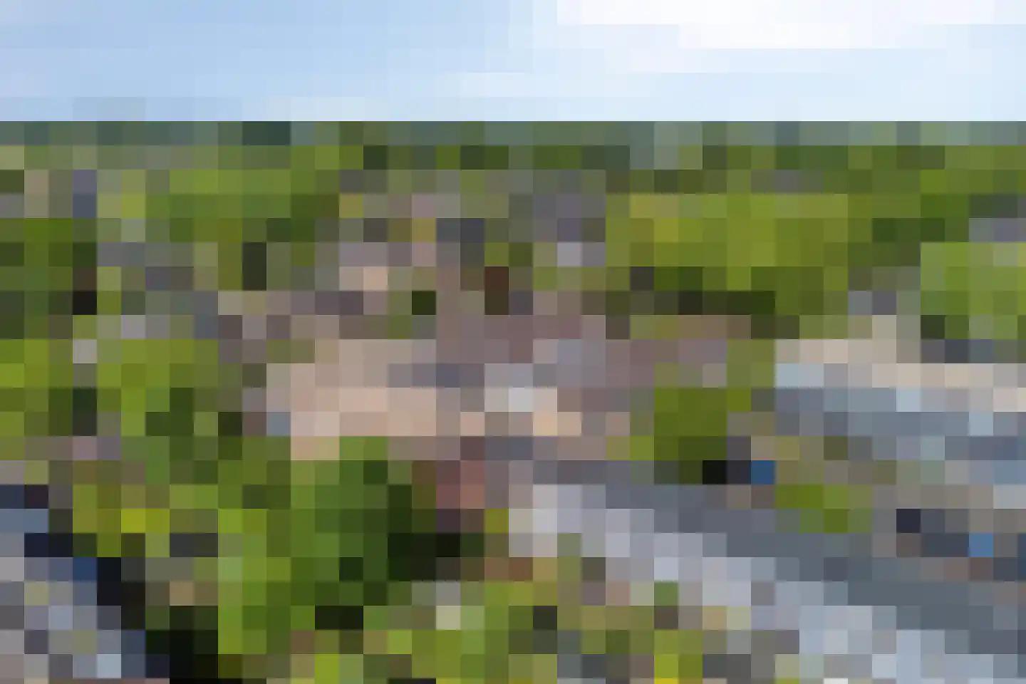 Greuns 27 Zwolle thumbnail 30