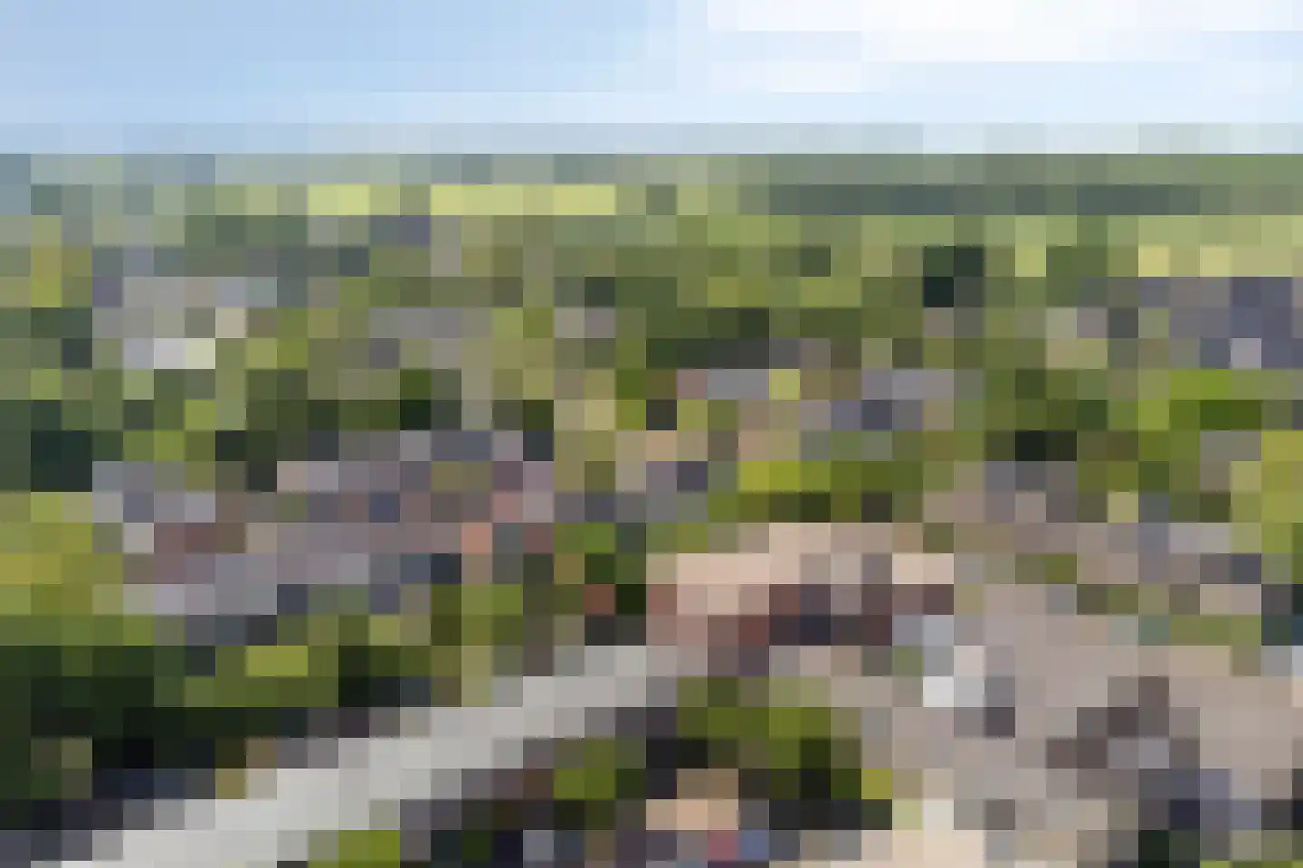 Greuns 27 Zwolle thumbnail 31
