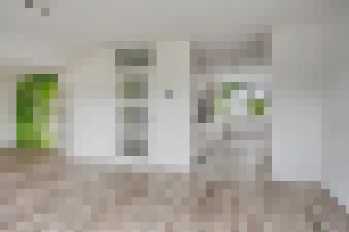 Greuns 27 Zwolle thumbnail 6