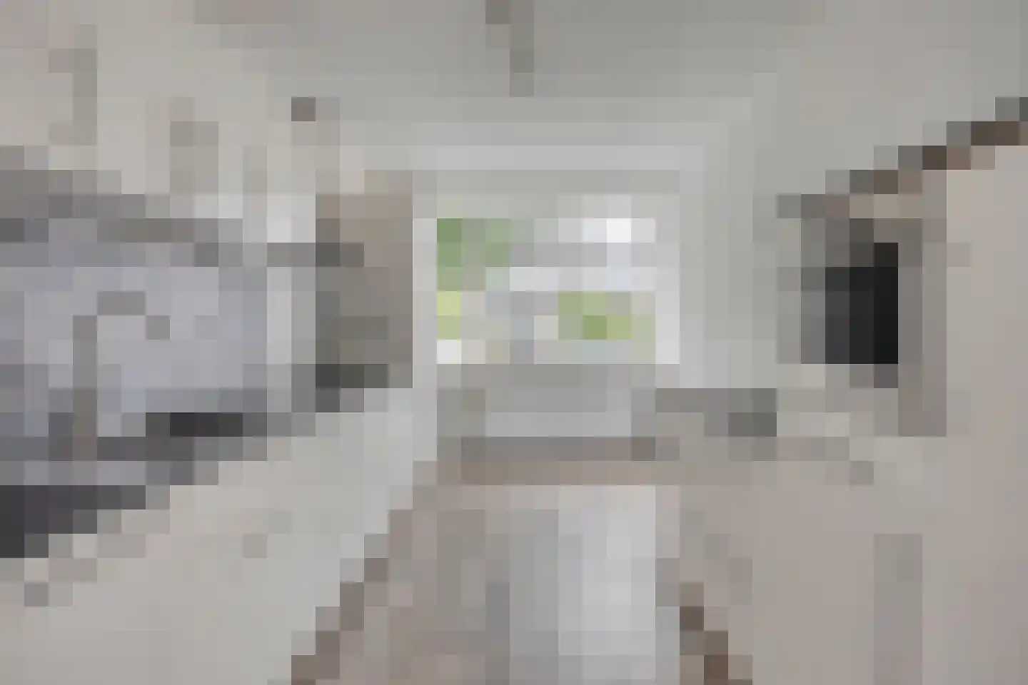 Greuns 27 Zwolle thumbnail 8