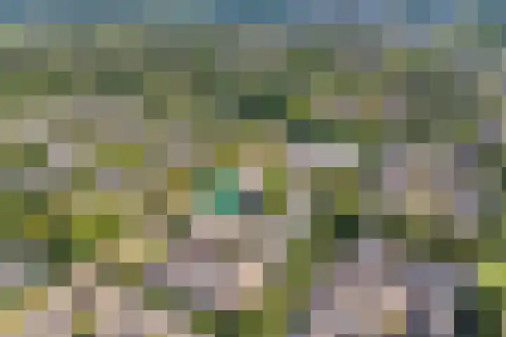 Greuns 6 Zwolle thumbnail 10
