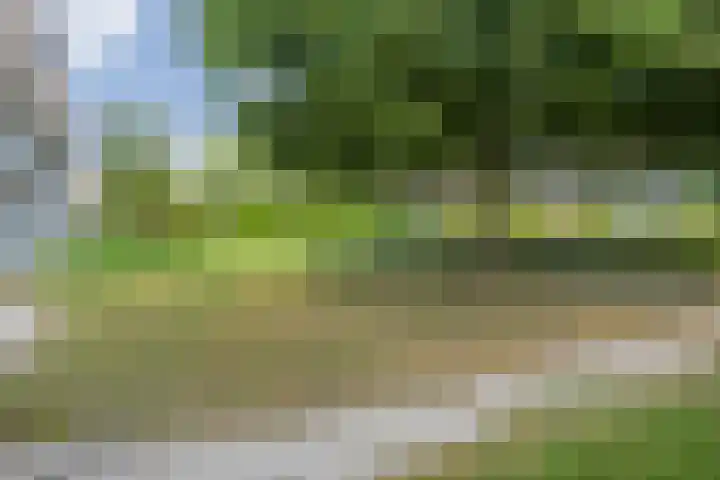 Greuns 6 Zwolle thumbnail 13