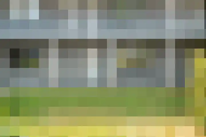 Greuns 6 Zwolle thumbnail 32